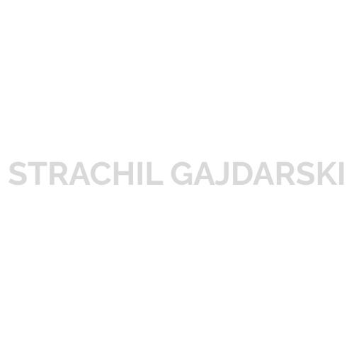 Strachil Gajdarski – Jazz Fusion Guitarist & Composer